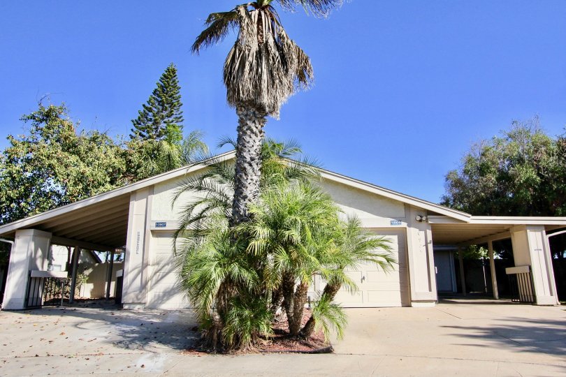 Beautiful Home and driveway with garage in nice Community