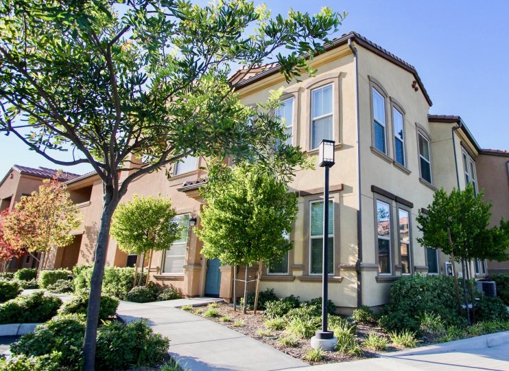 A sunny day with green trees and a lamp around House in Sorrento Terrace of Mira Mesa