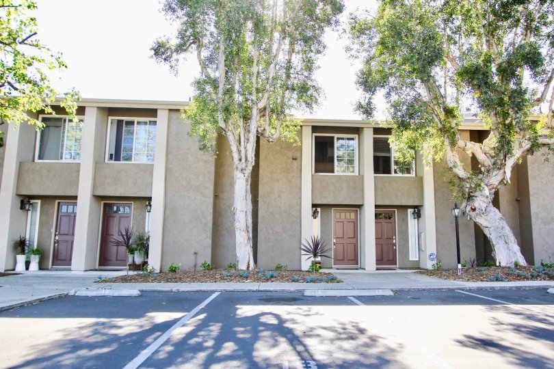 Windsor Park's simplicity and beautiful styled apartments in Mira Mesa, California