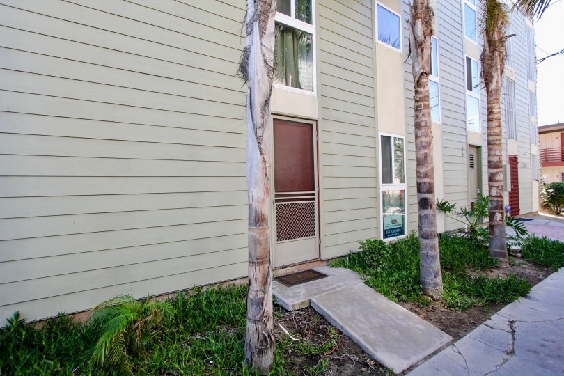 A sunny day in the area of Franklin Shores, outside, palm trees, sidewalk, door, window