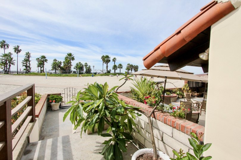 A breezy day on the beach patio in Ocean Blue with palm trees and white sand