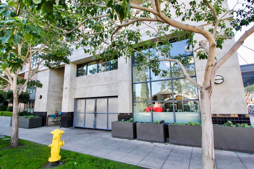 Building fron tin Mission Hills, California. Patio with succulent planters and trees. Yellow fire hydrant out front. Tall windows.