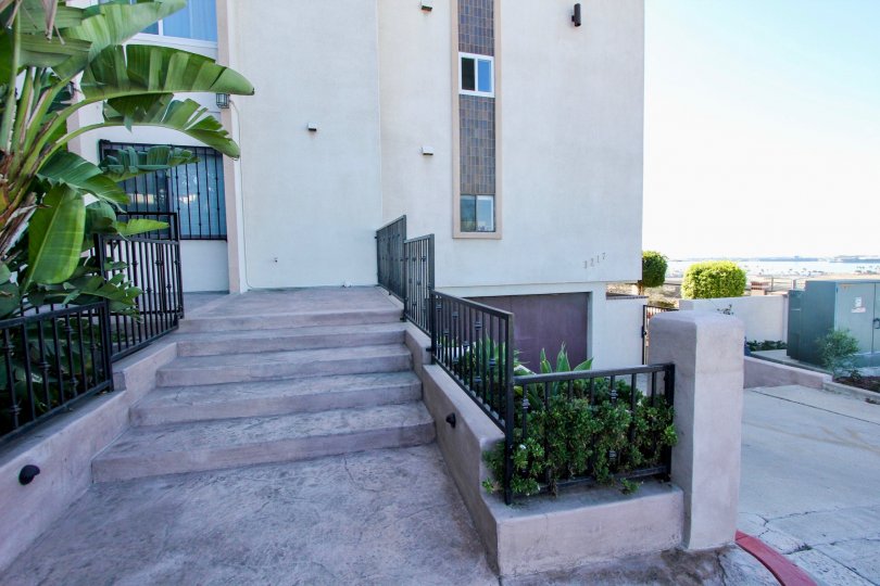 Stairs of the apartment in the Columbia Heights has bushes and plants on the two sides