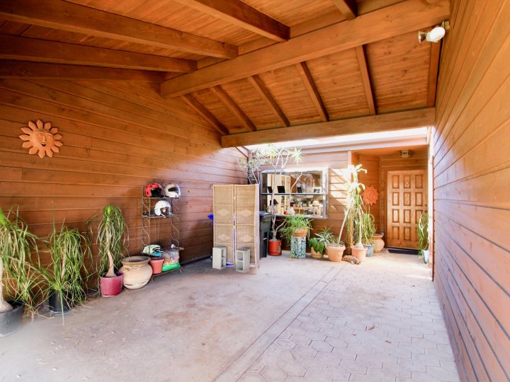 A sunny day in the area of Columbia Point, potted plants, garage, door, shelves