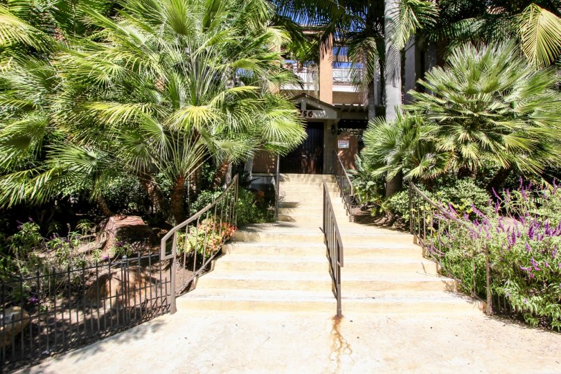 The plants with flowers and trees are covered the stairs of the pathway to the entrance in Essex Place