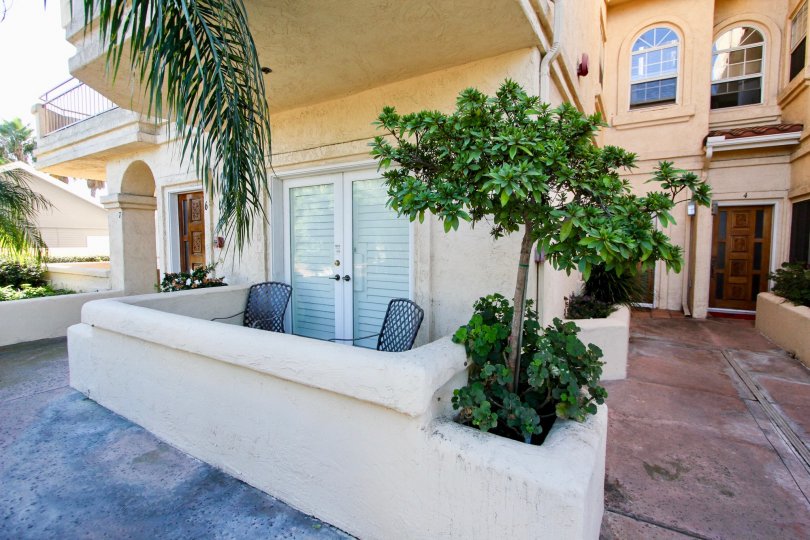 A sunny day in the area of Lewiston Condominiums, balcony, palm tree, condo