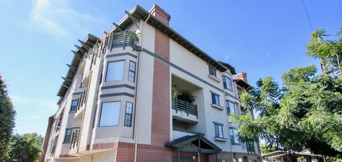 Apartment in the Sutter Canyon has flower pot and plants in the Balcony