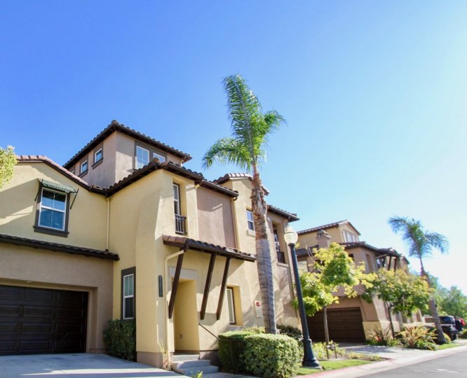 The Courtyards at Escala in Mission Valley, California are beautifully modernized multi-level homes with tall palm trees and green shrubbery surrounding them