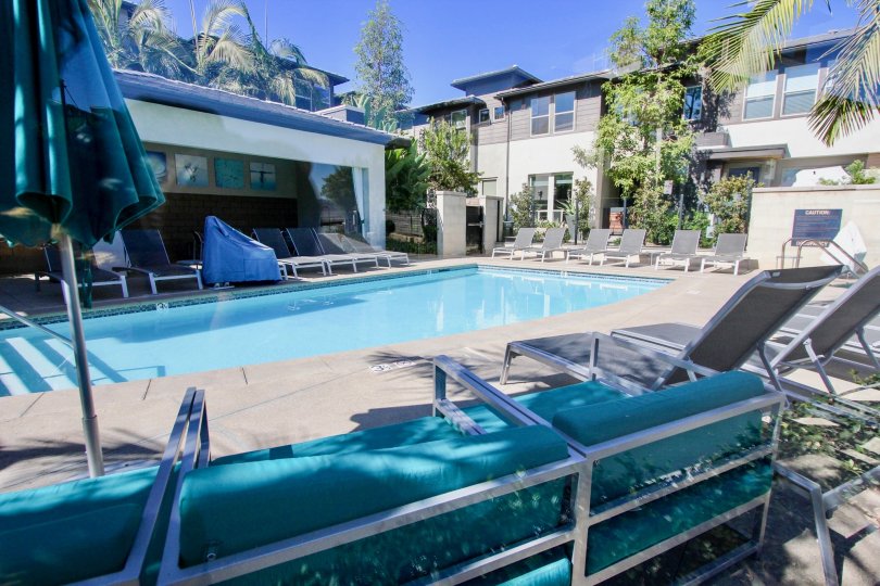 The luxury private swimming pool with deck chairs and beach umbrellas at the Frame and Focus condo complex.