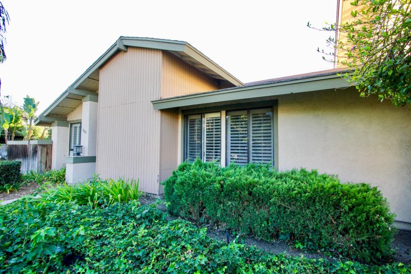 A view of a single house surrounded by plentiful greens in the Mission Playmor community of Mission Valley, California