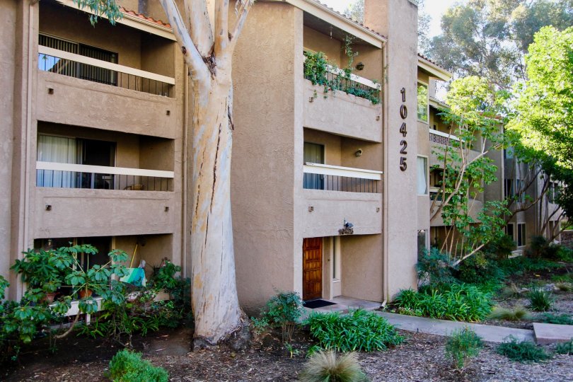 Mission Ridge  Mission Valley ,California,light brown building