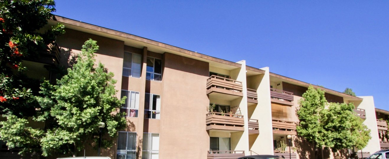 blue sky and sunny day in the neighborhood of Mission Village