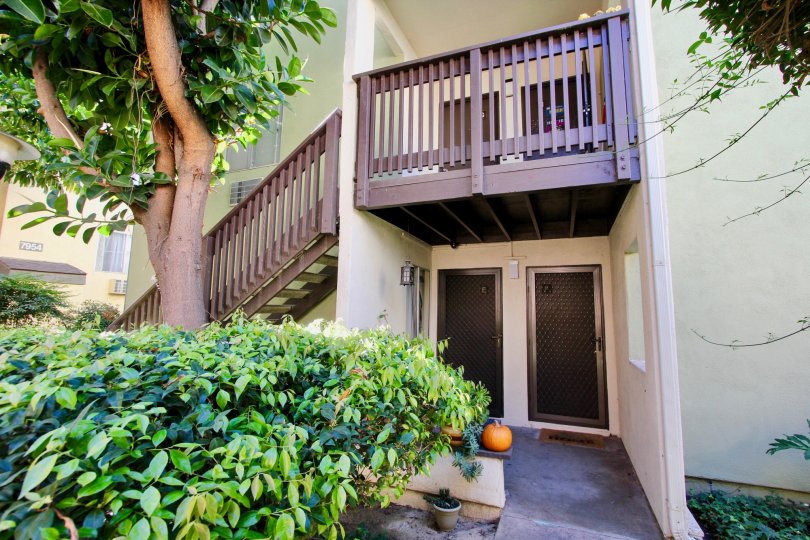 A sunny day in the area of Park Villas North, tree, sidewalk, balcony, pumpkin