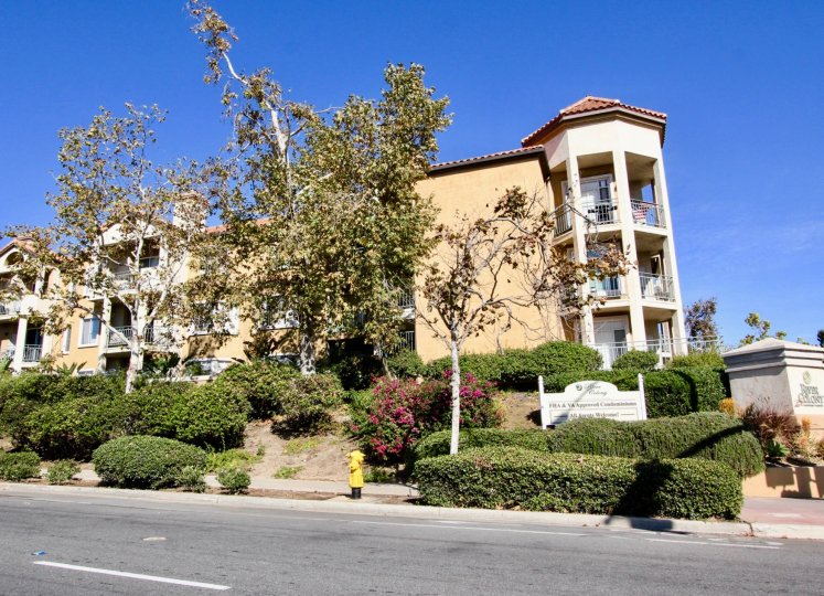 River Colony ,Mission Valley , California, tall building,trees