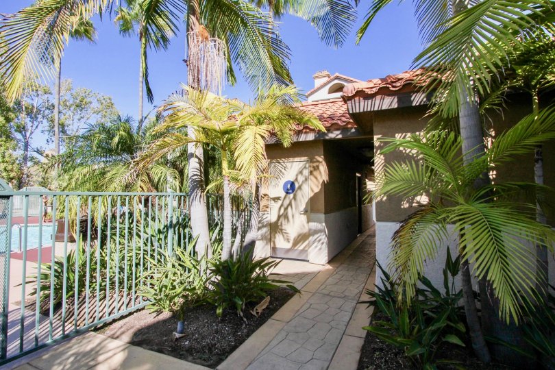River Colony and her beautiful green sorrounding, Mission valley, California