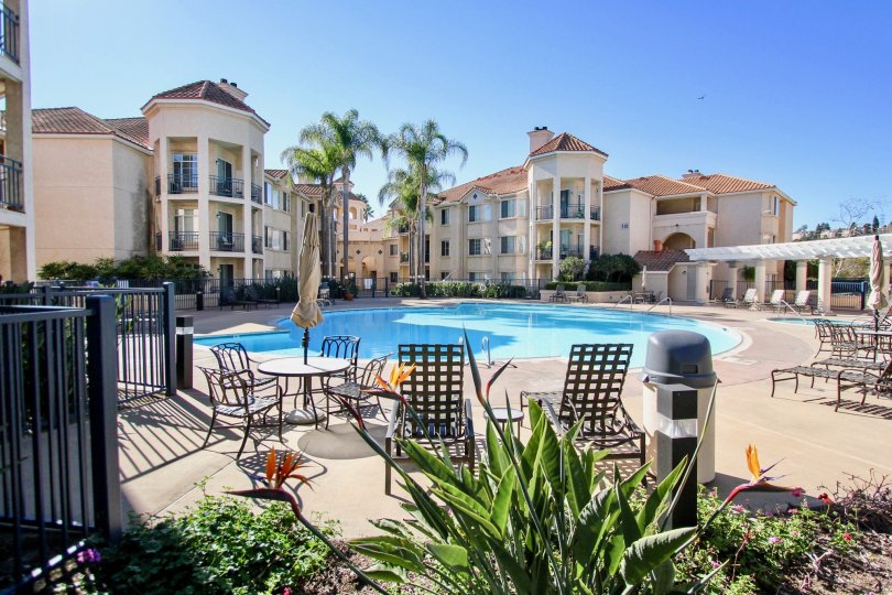 River Scene Community Mission Valley California poolside apartments palm trees tables and seating decorative plants
