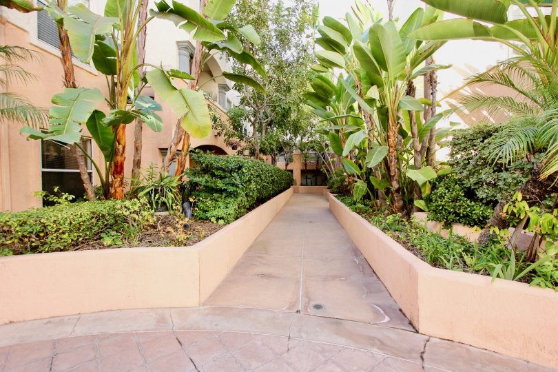 A luscious grove divided by a walkway in a residential building