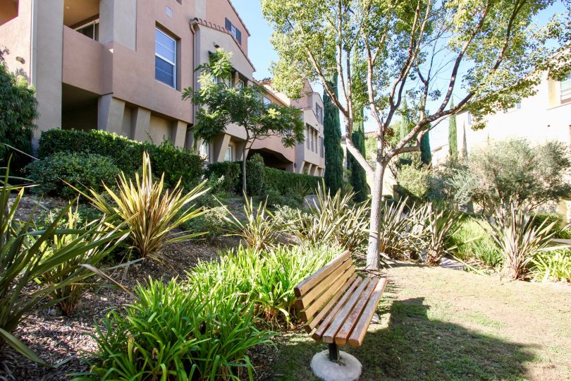 Terraces at Escala,Mission Valley, California,park bench,tree