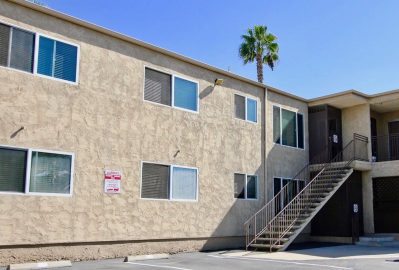 A sunny day in the area of Adela, stairs, condos, palm tree, windows, door
