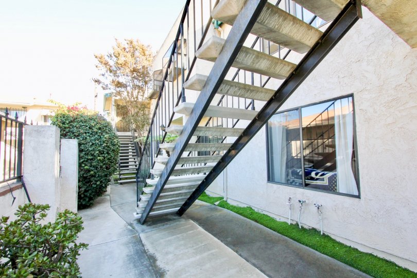 A sunny day in the area of Hamilton Street Condos, outside, bush, stairs, window, curtain