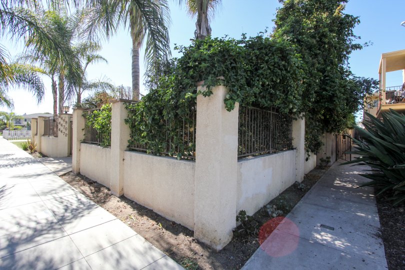 A Sunny day with small trees outside a House in NormalHeights Village of Normal Heights
