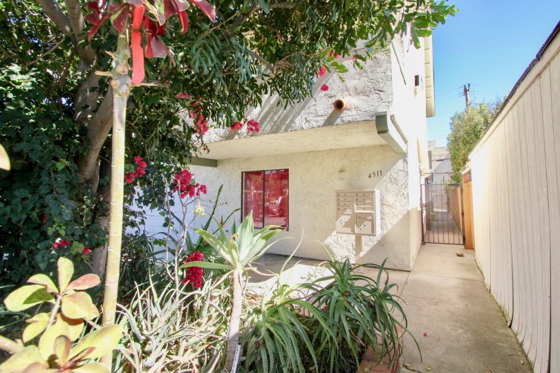 THE 4511 APARTMENT IN THE OAKTREE VILLAS WITH THE OAK TREE, PLANTS, GATE, PATHWAY