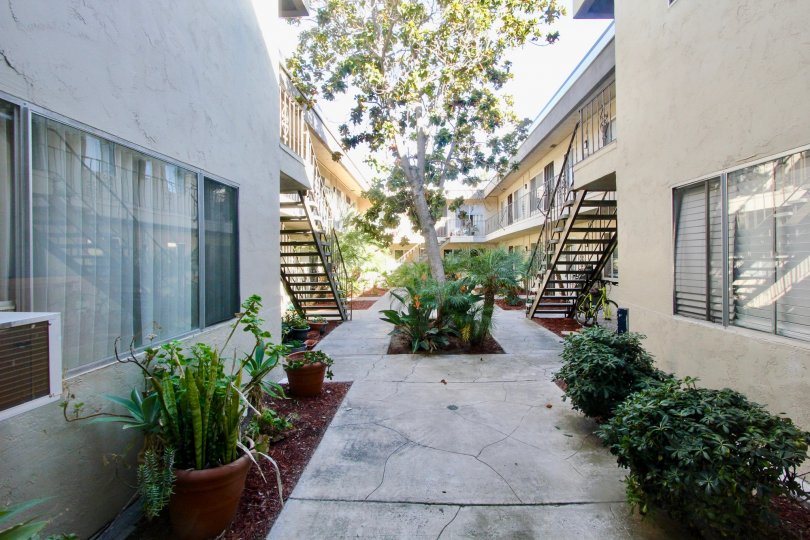 In between two buildings in California, the courtyard and plants can be seen in the garden.