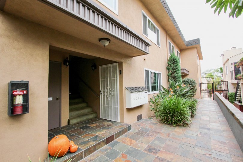 side yard of home in North Park, featuring tiles and greenery in surrounding