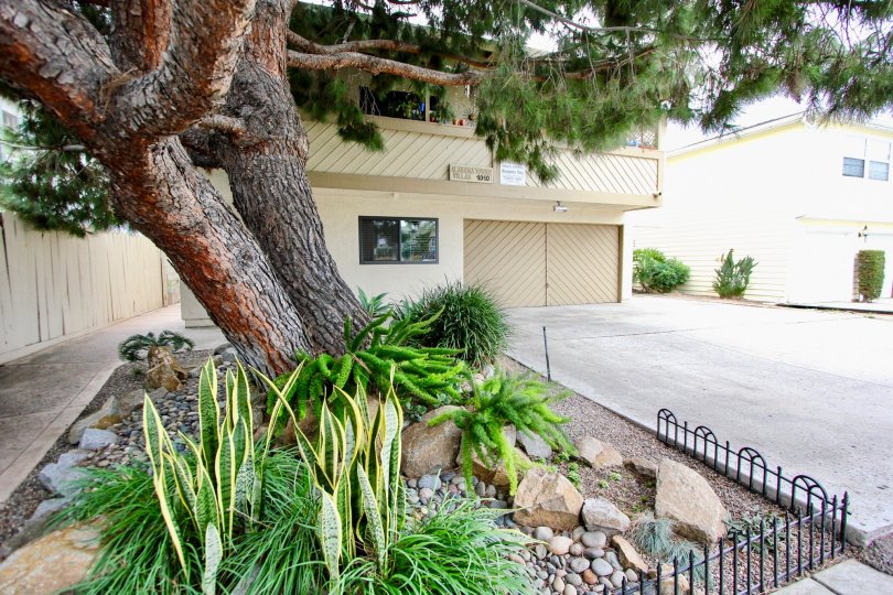 Alabama Villas, North Park, California, trees, drive way