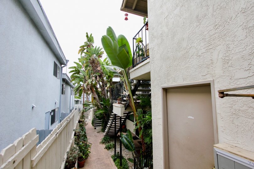 Walkway lined with residential buildings at Alabama Villas in North Park California
