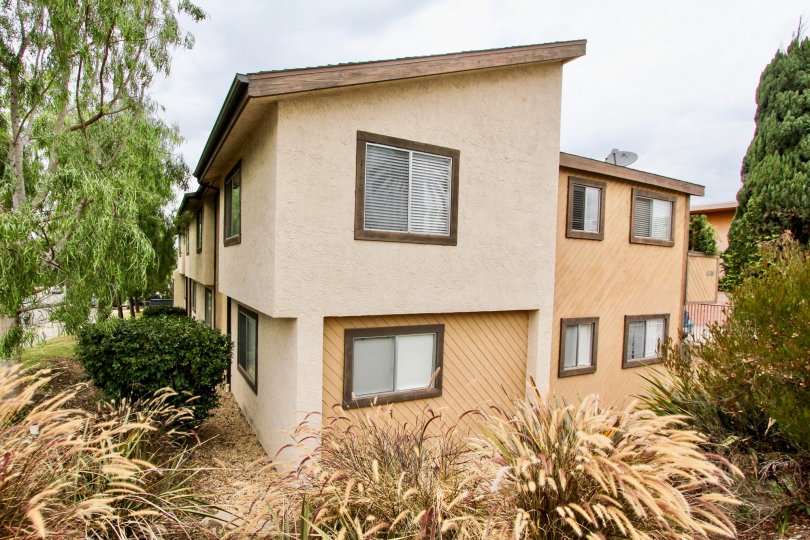 Balboa most attractive and nice bungalow and nice color in this bungalow and outside nature looking very attractive