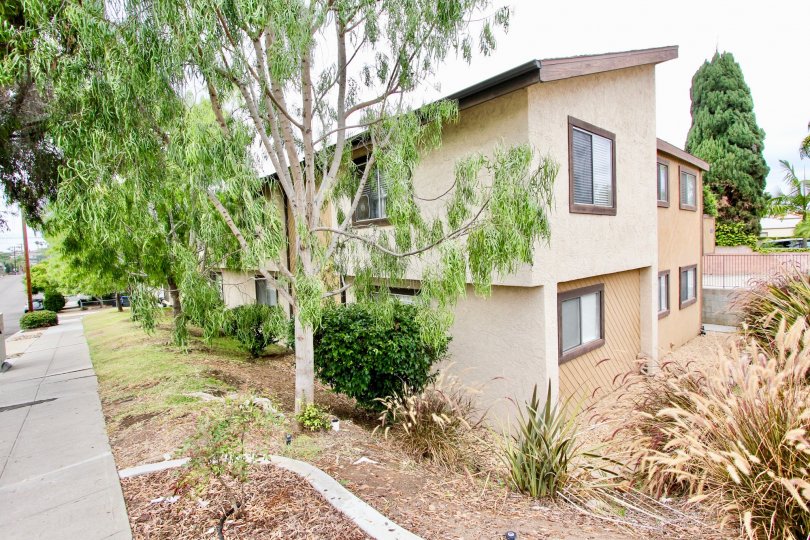 A beutiful home with a stylish design and a good greenery of Balboa community, North park, California.
