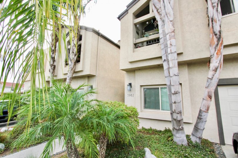 Tropical landscaping at Bancroft Street, North Park, California