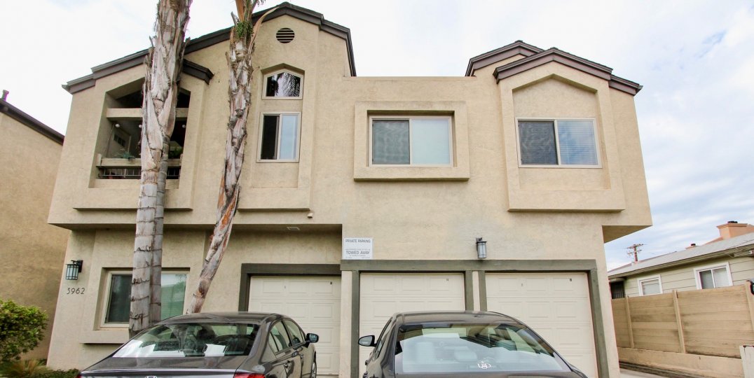 Bancroft Street ,North Park  ,California,two cars,tree barks
