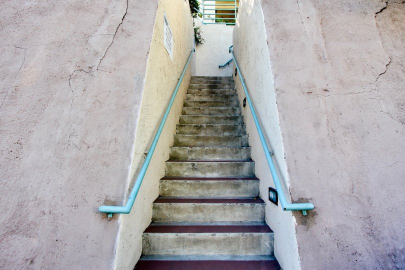 Main ladder of residence with sky-blue hands in the Coral Ridge