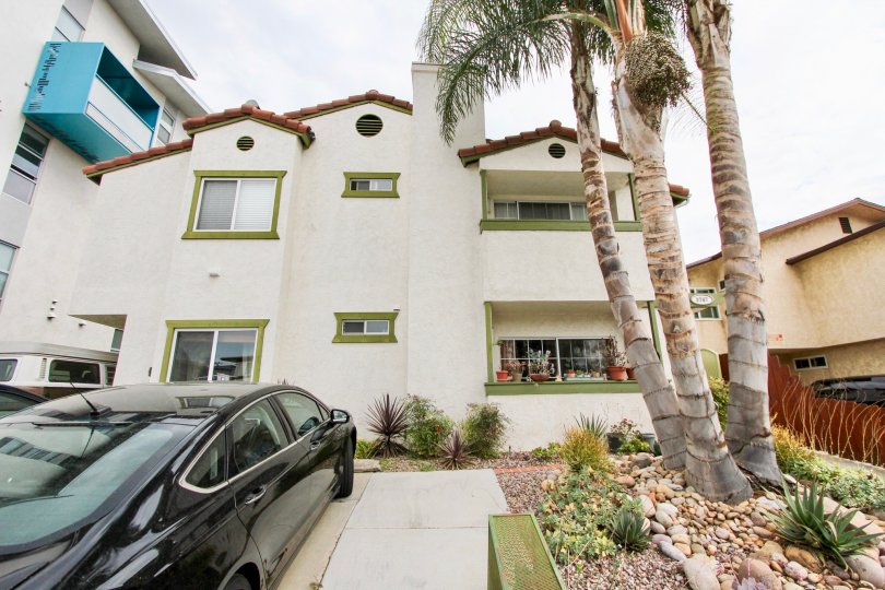 A still of coconut trees surrounding Grim Townhomes in summer