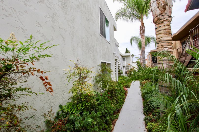 Trees and plants with flowers on the pathway to villa in the Idaho Palms