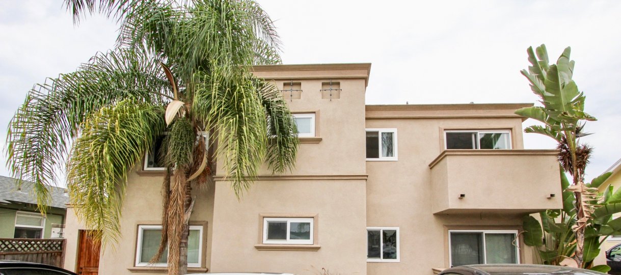 A sunny day in the area of Illinois Palms, Condo, car, palm tree, window