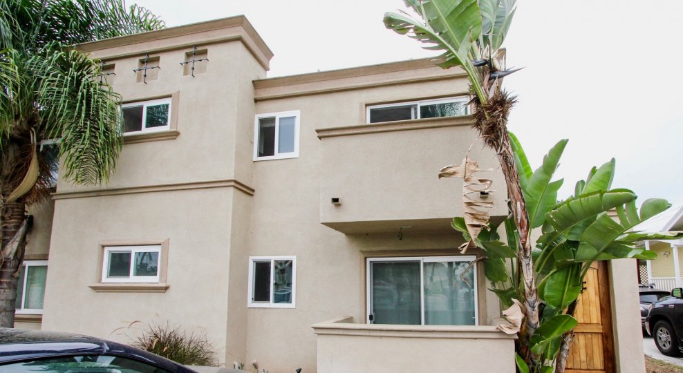 Illinois Palms  , North Park ,California,beige building,trees