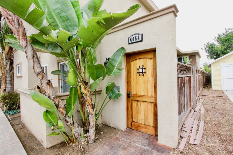 Illinois Palms , North Park  ,California,wooden door,banana tree