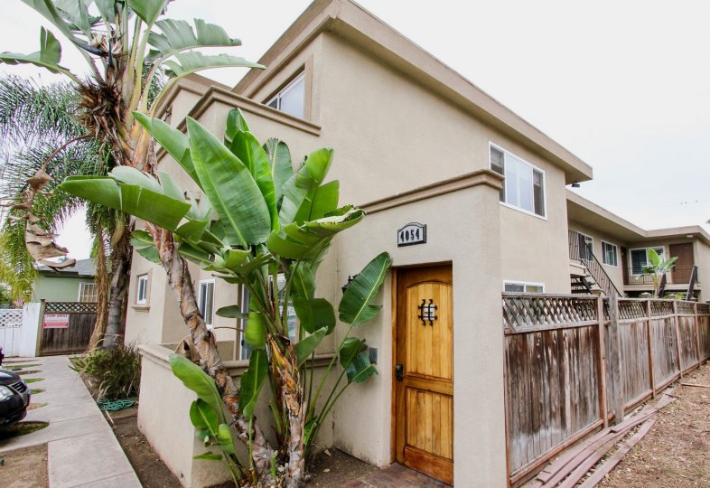 Illinois Palms, North Park, California, wooden fence, adobe