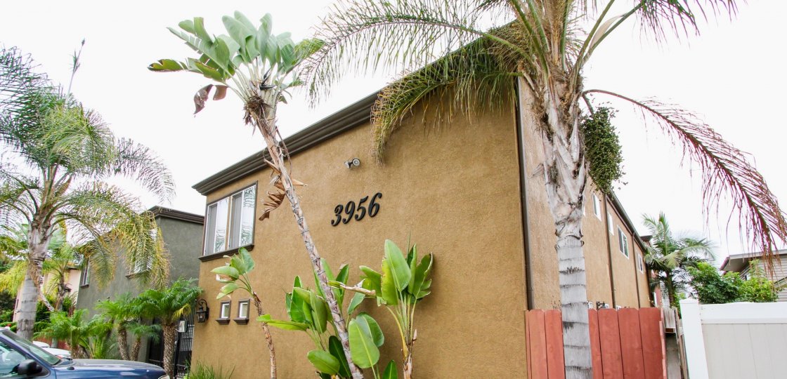 The Milano Community in North Park, California boasts palm trees and fences for security on these multi-level homes