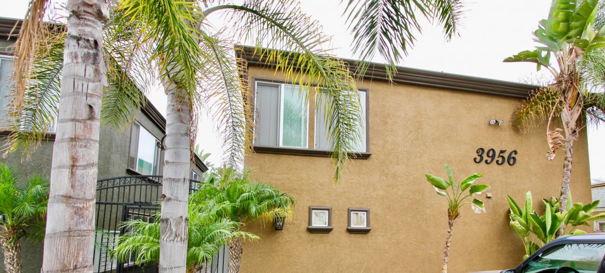 The Milano, North Park, California, adobe, palm trees