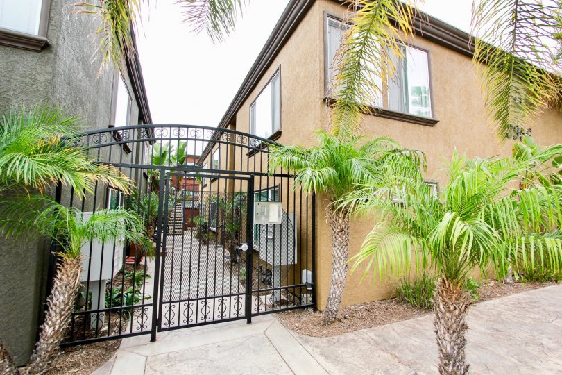 Palm trees and gateway entrance between two buildings at The Milano North Park California