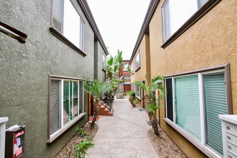 A cloudy day in an alley filled with shrubs in North Park California