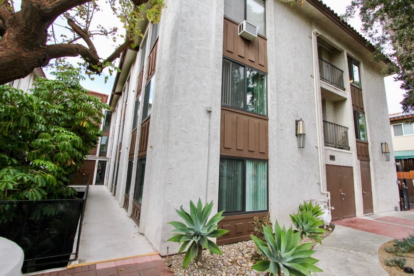 Three story apartment building, gray and brown Large tree