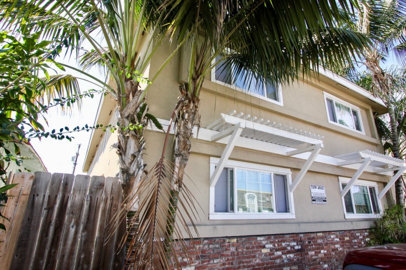 Back side of the building decorated with trees and plants and car parked in 4841 Del Monte Ave