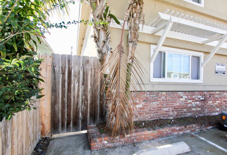 A gate and parking spot with greenery and a window for 4841 Del Monte Ave.