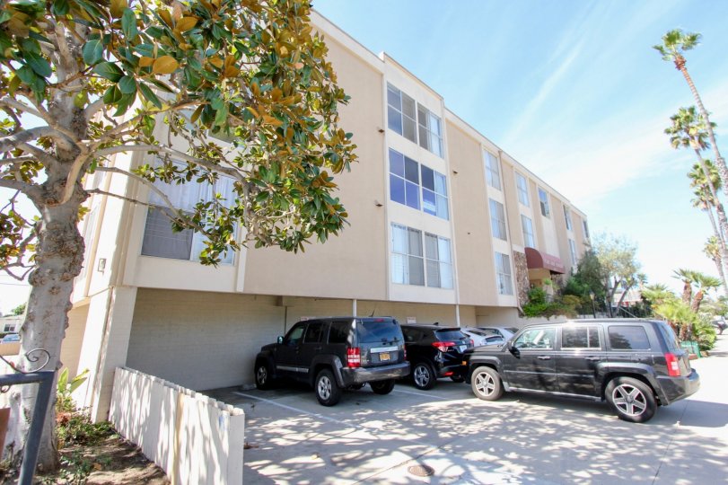 A SUNNY DAY IN THE CAPE MAY TOWERS WITH THE APARTMENT, CAR PARKING, TREES