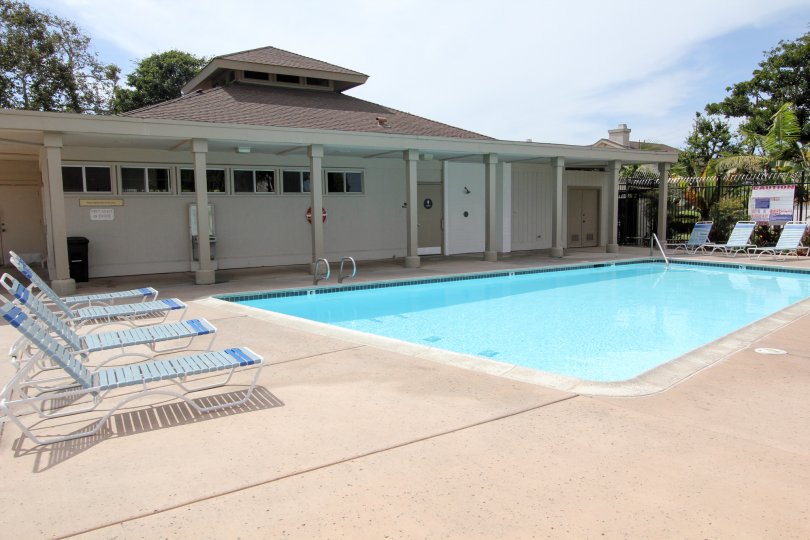 Swimming pool and relaxing chairs with good maintenance in Park Point Loma.